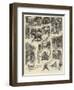 The Troubles of a Police Commissioner, an Incident of Tropical Travel-William Ralston-Framed Giclee Print