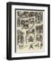 The Troubles of a Police Commissioner, an Incident of Tropical Travel-William Ralston-Framed Giclee Print