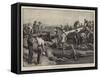 The Troubles of Transport in South Africa, Work for the Engineers-Frank Dadd-Framed Stretched Canvas