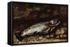 The Trout, 1873-Gustave Courbet-Framed Stretched Canvas