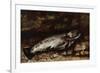 The Trout, 1873-Gustave Courbet-Framed Giclee Print