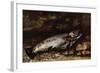 The Trout, 1873-Gustave Courbet-Framed Giclee Print