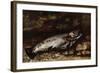 The Trout, 1873-Gustave Courbet-Framed Giclee Print