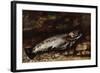 The Trout, 1873-Gustave Courbet-Framed Giclee Print