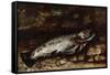 The Trout, 1873-Gustave Courbet-Framed Stretched Canvas