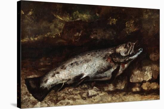 The Trout, 1873-Gustave Courbet-Stretched Canvas