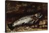 The Trout, 1873-Gustave Courbet-Stretched Canvas