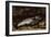 The Trout, 1873-Gustave Courbet-Framed Premium Giclee Print