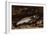 The Trout, 1873-Gustave Courbet-Framed Premium Giclee Print