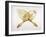 The Trowel Used in Laying the First Stone of the New Royal Exchange 17th January 1842-null-Framed Giclee Print