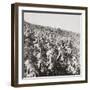 The True Bulldog Rush of Our Troops at the Dardanelles-English Photographer-Framed Photographic Print