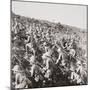 The True Bulldog Rush of Our Troops at the Dardanelles-English Photographer-Mounted Photographic Print