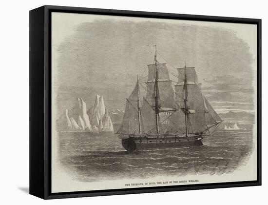 The Truelove, of Hull, the Last of the Sailing Whalers-null-Framed Stretched Canvas