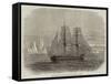 The Truelove, of Hull, the Last of the Sailing Whalers-null-Framed Stretched Canvas