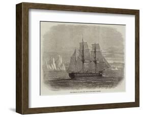 The Truelove, of Hull, the Last of the Sailing Whalers-null-Framed Giclee Print