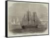 The Truelove, of Hull, the Last of the Sailing Whalers-null-Framed Stretched Canvas