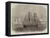 The Truelove, of Hull, the Last of the Sailing Whalers-null-Framed Stretched Canvas