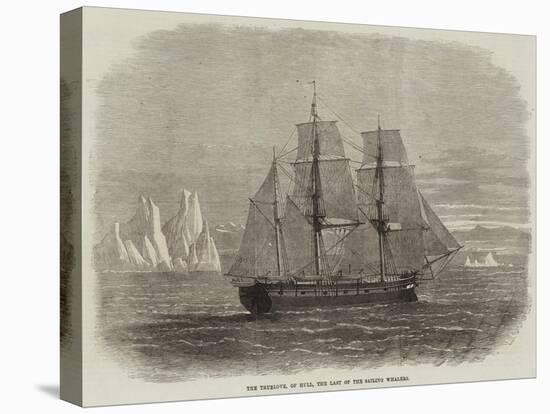 The Truelove, of Hull, the Last of the Sailing Whalers-null-Stretched Canvas