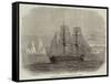 The Truelove, of Hull, the Last of the Sailing Whalers-null-Framed Stretched Canvas