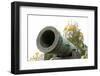 The Tsar Canon, inside the Kremlin, Moscow, Russia, Europe-Miles Ertman-Framed Photographic Print