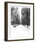 The Tuileries Garden under the snow, Paris-Michel Setboun-Framed Giclee Print