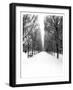 The Tuileries Garden under the snow, Paris-Michel Setboun-Framed Giclee Print