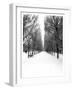 The Tuileries Garden under the snow, Paris-Michel Setboun-Framed Giclee Print