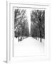 The Tuileries Garden under the snow, Paris-Michel Setboun-Framed Giclee Print