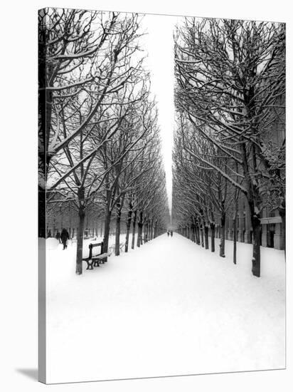 The Tuileries Garden under the snow, Paris-Michel Setboun-Stretched Canvas
