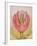 The Tulip Burst Open with a Pop, 1991-Wayne Anderson-Framed Giclee Print