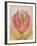 The Tulip Burst Open with a Pop, 1991-Wayne Anderson-Framed Giclee Print