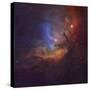 The Tulip Nebula (Sh2-101) in Cygnus-Stocktrek Images-Stretched Canvas