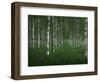 The tunnel-Christian Lindsten-Framed Photographic Print