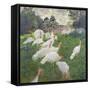 The Turkeys at the Chateau De Rottembourg, Montgeron, 1877-Claude Monet-Framed Stretched Canvas