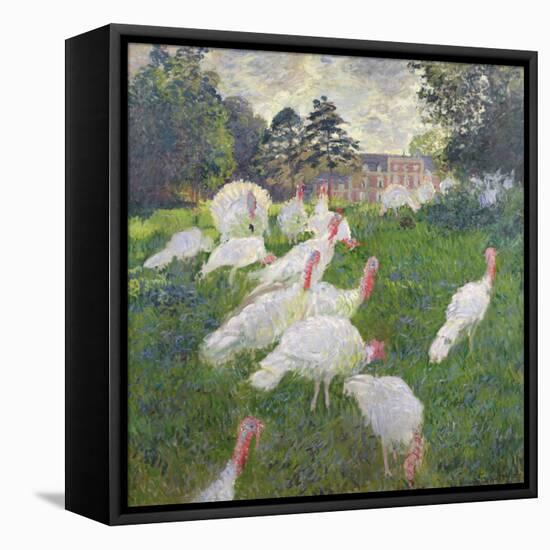 The Turkeys at the Chateau De Rottembourg, Montgeron, 1877-Claude Monet-Framed Stretched Canvas