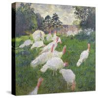 The Turkeys at the Chateau De Rottembourg, Montgeron, 1877-Claude Monet-Stretched Canvas