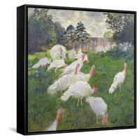 The Turkeys at the Chateau De Rottembourg, Montgeron, 1877-Claude Monet-Framed Stretched Canvas