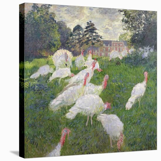The Turkeys at the Chateau De Rottembourg, Montgeron, 1877-Claude Monet-Stretched Canvas