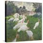 The Turkeys at the Chateau De Rottembourg, Montgeron, 1877-Claude Monet-Stretched Canvas