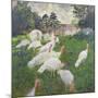 The Turkeys at the Chateau De Rottembourg, Montgeron, 1877-Claude Monet-Mounted Giclee Print