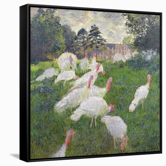 The Turkeys at the Chateau De Rottembourg, Montgeron, 1877-Claude Monet-Framed Stretched Canvas