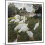 The Turkeys at the Chateau De Rottembourg, Montgeron-Claude Monet-Mounted Premium Giclee Print