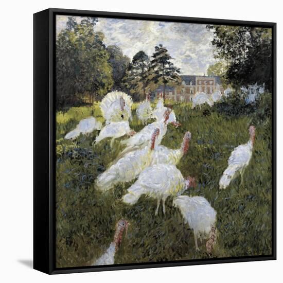 The Turkeys at the Chateau De Rottembourg, Montgeron-Claude Monet-Framed Stretched Canvas