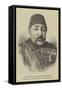 The Turkish Minister of Marine, Wounded by the Assassin's Dagger, 15 June-null-Framed Stretched Canvas