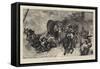 The Turks are Coming!, a Stampede from Tesica-null-Framed Stretched Canvas