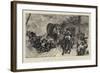 The Turks are Coming!, a Stampede from Tesica-null-Framed Giclee Print