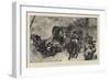 The Turks are Coming!, a Stampede from Tesica-null-Framed Giclee Print