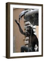 The Turtle Fountain. Detail. Turtle and Bronze Ephebe.16th Century. Rome. Italy-Giacomo della Porta-Framed Photographic Print