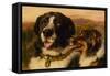 The Twa Dogs-Edwin Landseer-Framed Stretched Canvas