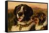 The Twa Dogs-Edwin Landseer-Framed Stretched Canvas